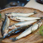 recommendations for 割烹天竜