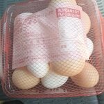石川養鶏場的实拍图
