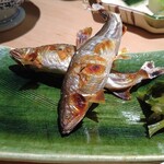 recommendations for 船市