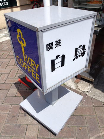 白鳥的實拍高清圖