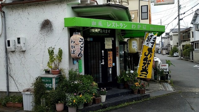 わかば的实拍高清图