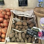recommendations for サラダーマン