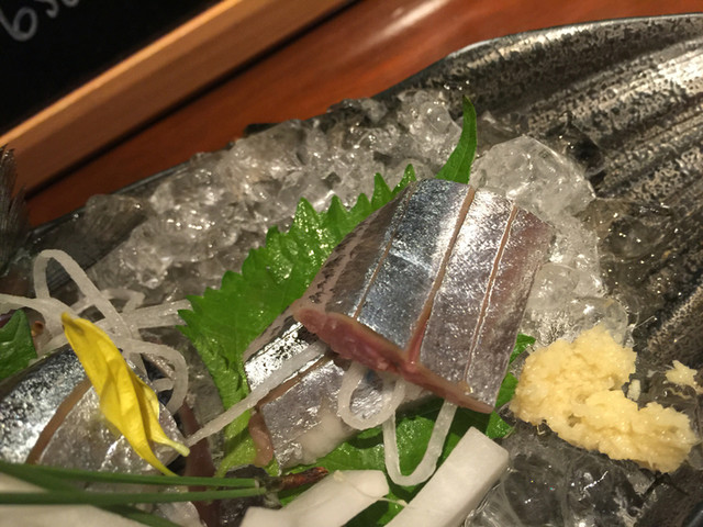 漁的实拍高清图