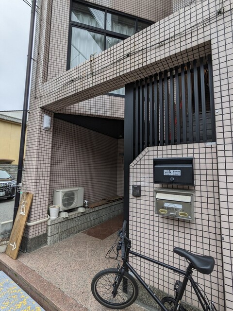 小梟的实拍高清图