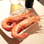 recommendations for イタリア酒場 炎LAVITA 天満店