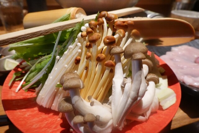 recommendations image for 鳥歐