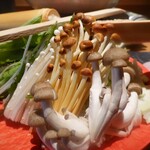 recommendations for 鳥歐