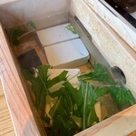 茶六別館的實拍圖