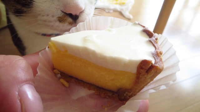 recommendations image for 菓子司 新谷