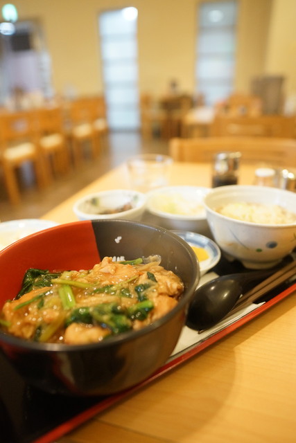 祭的实拍高清图