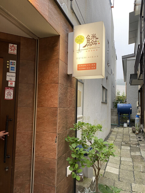 オステリアバル 鱗的实拍高清图