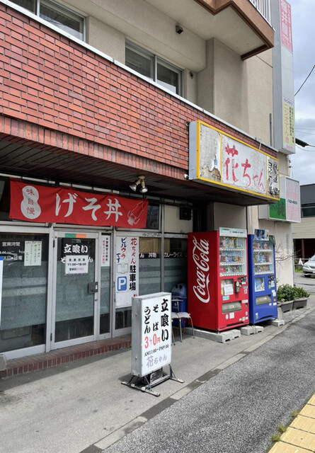 花ちゃん的实拍高清图