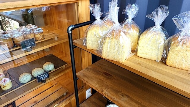 アマン的实拍高清图