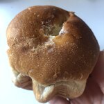 recommendations for SHINA