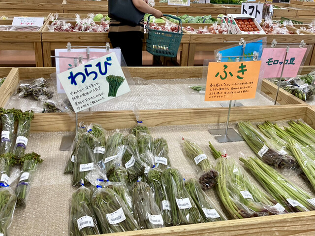 コケット グリム的实拍高清图