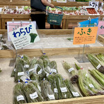 コケット グリム的实拍图
