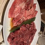 トトリ的實拍圖