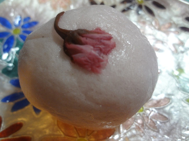 紅梅堂的实拍高清图