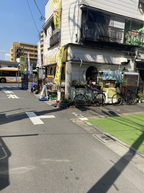豚介的實拍高清圖