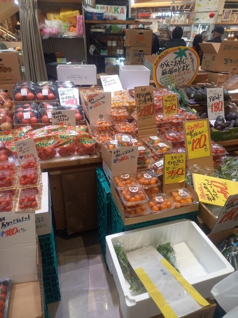 やおや植木商店的实拍高清图