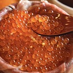 recommendations for 先斗町 肉路地