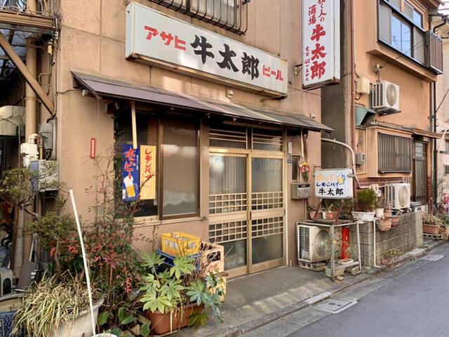 牛太郎的实拍高清图