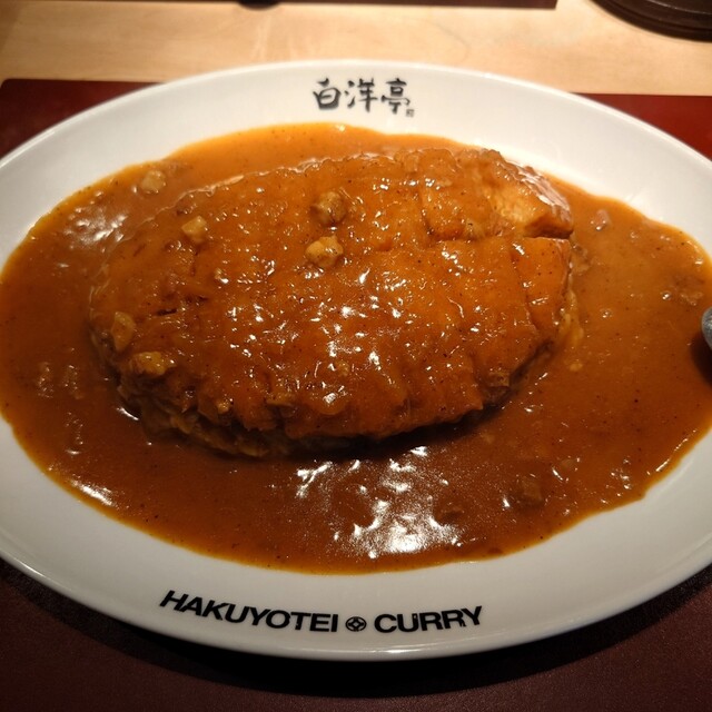 旨辛カレー専門店 白洋亭的实拍高清图