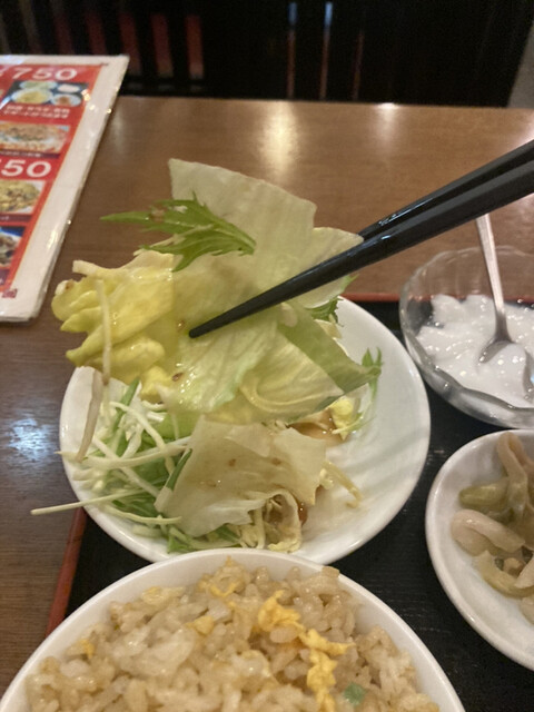 翠園的實拍高清圖