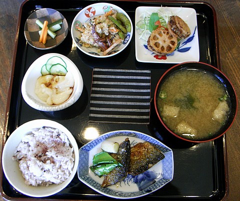 recommendations for CACHE CACHE