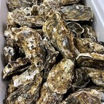 神田ひぐまキッチン的實拍圖