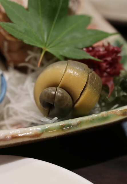 咲くら的实拍高清图