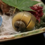 咲くら的实拍图
