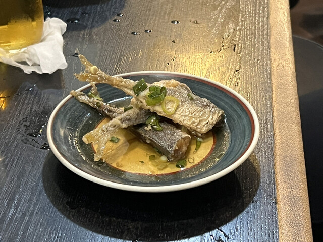 たこ入道的实拍高清图
