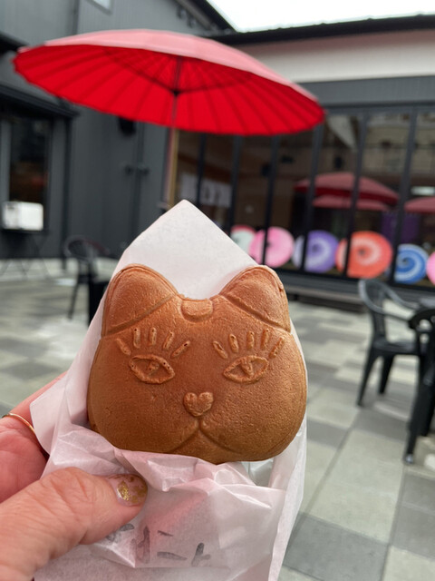 猫間的實拍高清圖