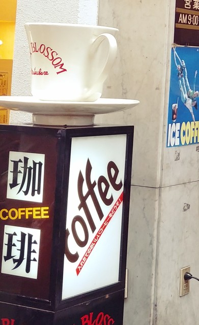 MILK BLOSSOM的实拍高清图