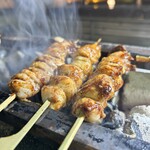 鶏と無限の可能性的實拍圖