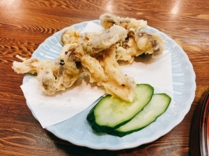 寺町更科的实拍图