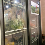 魚○本店的實拍圖