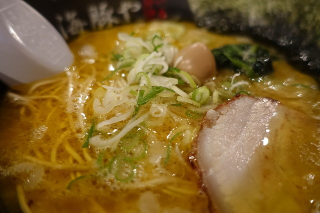 西新 海豚や的实拍高清图