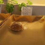 ルナール的实拍图