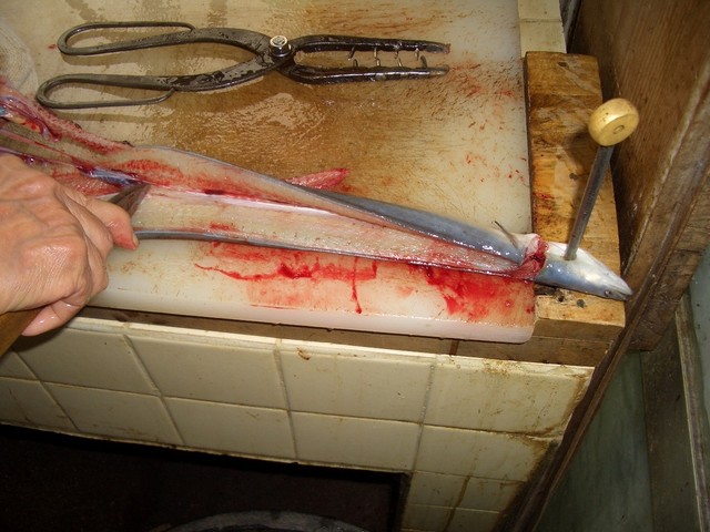 recommendations image for 原田うなぎ屋