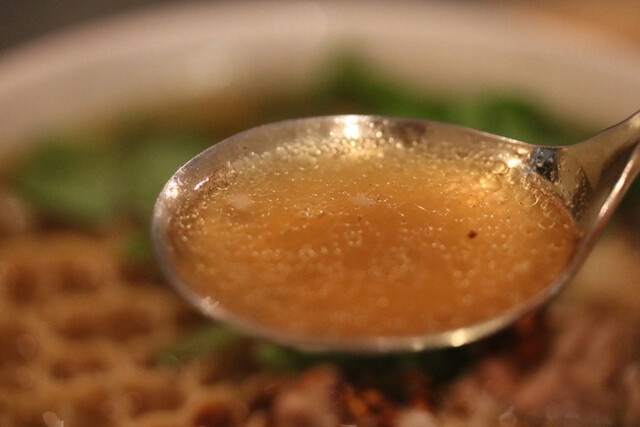 小梟的实拍高清图