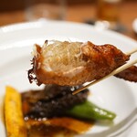 recommendations for KOBAYASHI