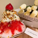 recommendations for sinoa