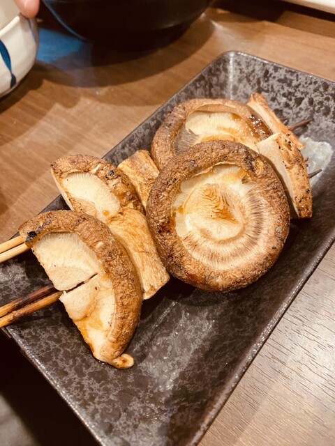 あほう鳥的實拍高清圖