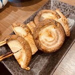 あほう鳥的實拍圖