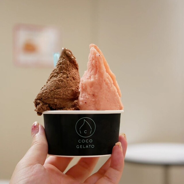 COCO GELATO 糸島店的實拍高清圖
