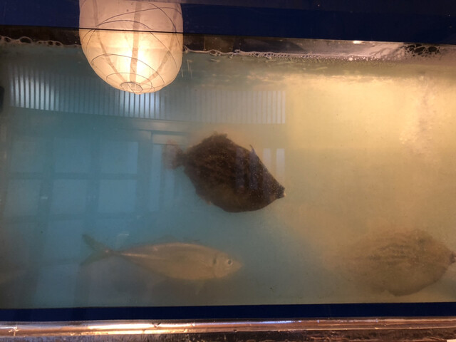 recommendations image for 酒夢来