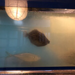 recommendations for 酒夢来