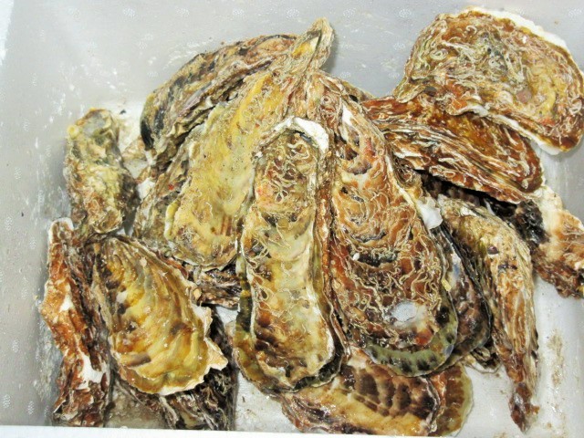湧鮮館的实拍高清图